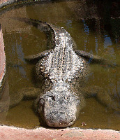 Gran Canaria Spain Zoo