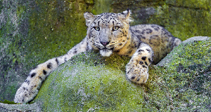 Zoo Basel