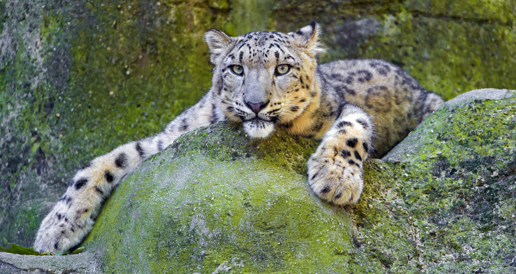 Zoo Basel