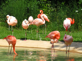 Madison United States Zoo