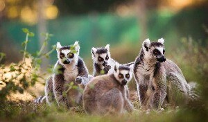 Zoo de Labenne