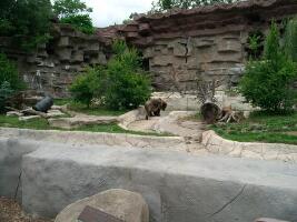 Detroit Zoo