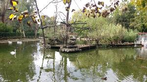 Lo Zoo di Napoli