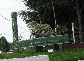 Manaus Brazil Zoo