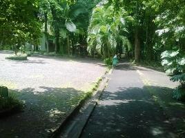 Foz do Iguacu Brazil Zoo