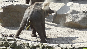 Wildlands Adventure Zoo Emmen