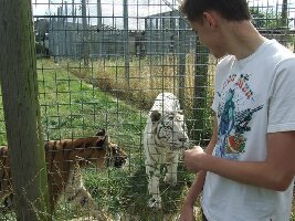 Hamerton Zoo Park