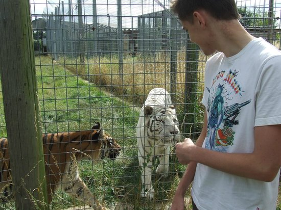 Hamerton Zoo Park