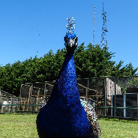 Tropiquaria Zoo