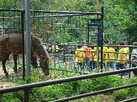 Okinawa Japan Zoo