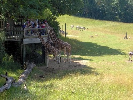 Battle Creek United States Zoo