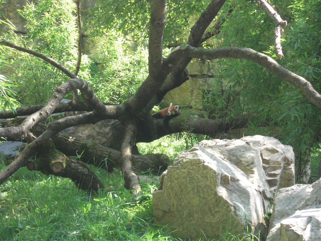 Zoo de Lyon