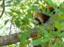 Fargo United States Zoo