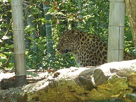 South Carolina United States Zoo