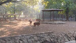 Mumbai (Bombay) India Zoo