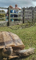 Nantwich England Zoo