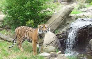 Zoo Brno