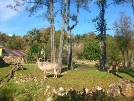 Pilsen Czech Republic Zoo