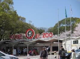 Kobe Japan Zoo