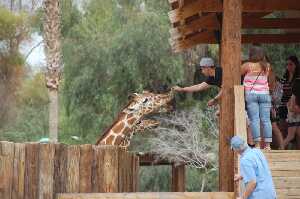 Litchfield Park United States Aquarium