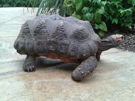 Oakham England Zoo