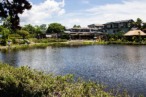 Yagizaki Park and Oishi Park Japan Lake