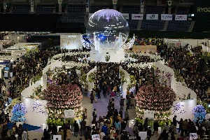 International Orchid Festival