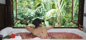 Bali Botanica Day Spa