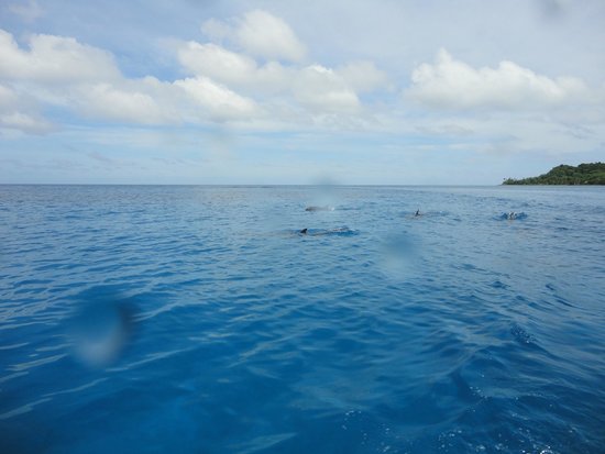 Banda Dive Shop