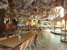 Woodsies Gem Shop