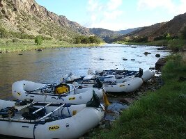 RIGS Adventure CO Fly Shop and Guide Service