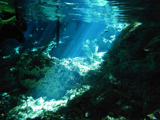 Dos Ojos Scuba Dive Shop