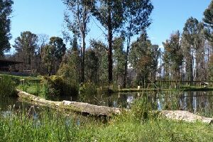 Marysville Canada Lake