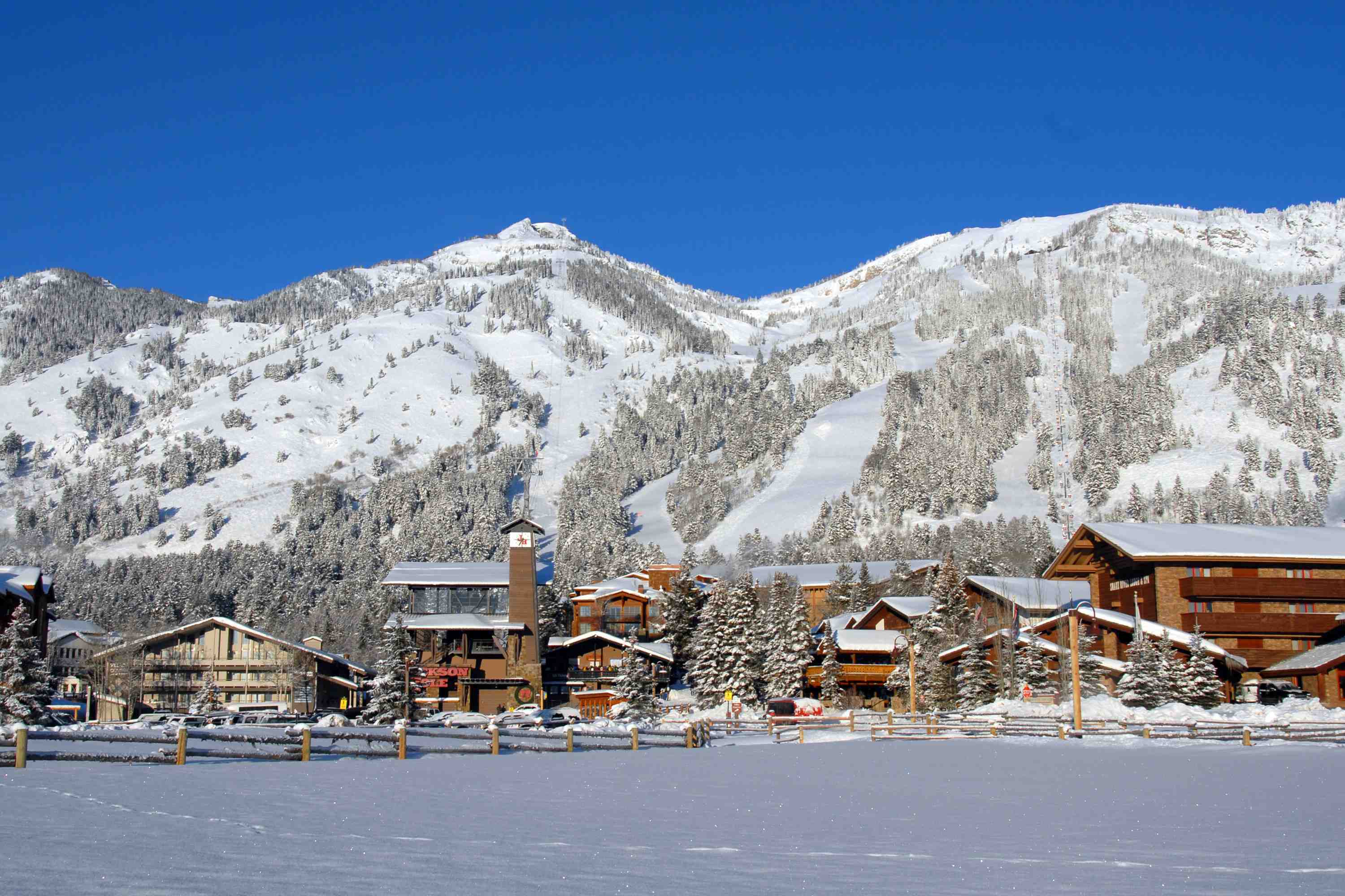 Jackson Hole Mountain Resort