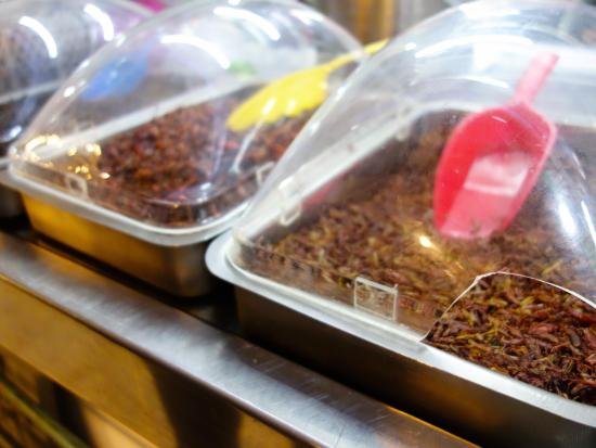 Sabores Mexico Food Tours