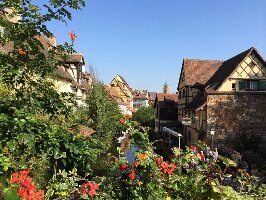 Strasbourg France Wine Tour