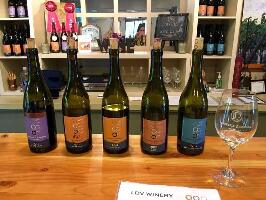 Scottsdale United States Wine Tasting