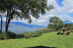 Wine Your Way Tours