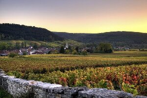 Wine and Voyages