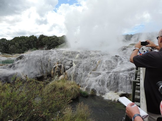 Tauranga Tasting Tours