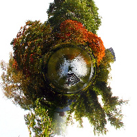 Nakajima Park