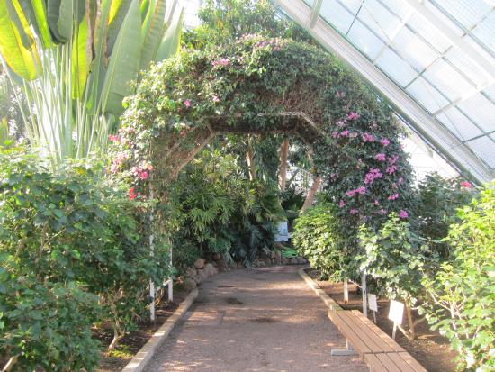 Hakodate Tropical Botanical Garden