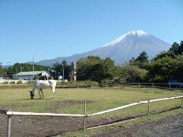 Fuji Milk Land