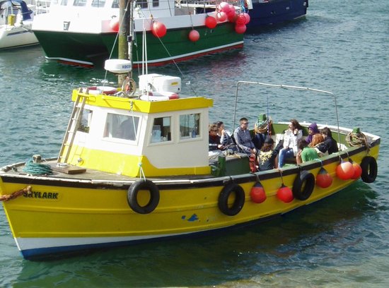 Skylark Boat Fishing Trips Scarborough
