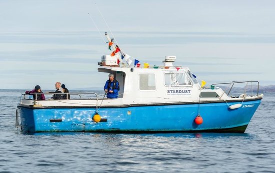 Brigadoon Sea Eagle and Wildlife Boat Trips