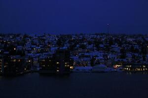 Hurtigruten Day Trips