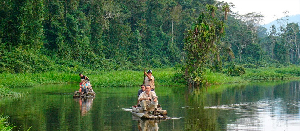 Manu Jungle Trips