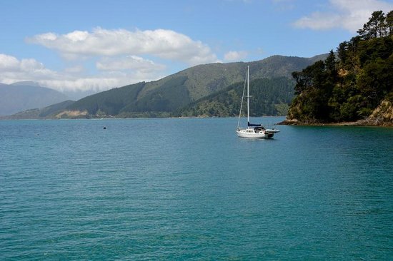 Pelorus Mail Boat