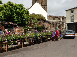 Dorset Day Trips