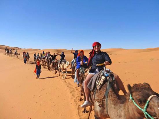 Morocco Camel Trips - Day Trips